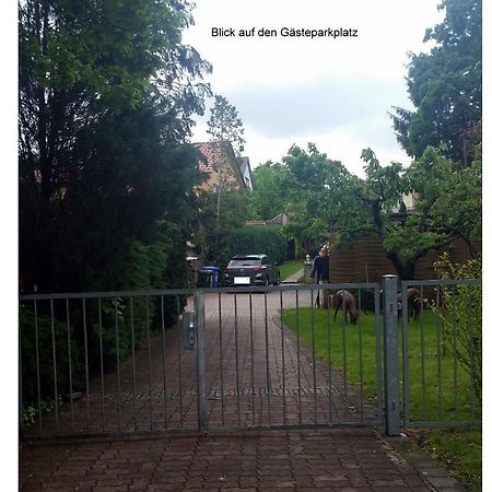 Ferienwohnung Gerlach เดรสเดน ภายนอก รูปภาพ