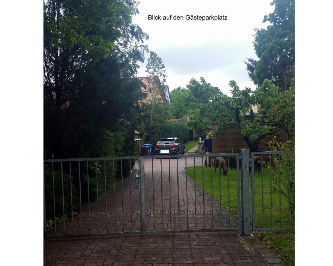 Ferienwohnung Gerlach เดรสเดน ภายนอก รูปภาพ