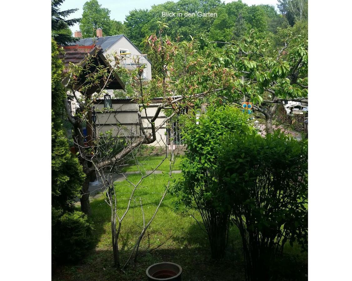 Ferienwohnung Gerlach เดรสเดน ภายนอก รูปภาพ