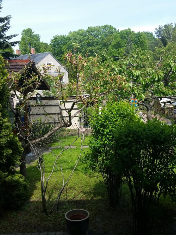 Ferienwohnung Gerlach เดรสเดน ภายนอก รูปภาพ